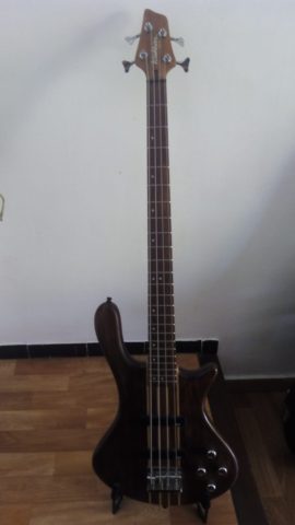 Washburn taurus t24