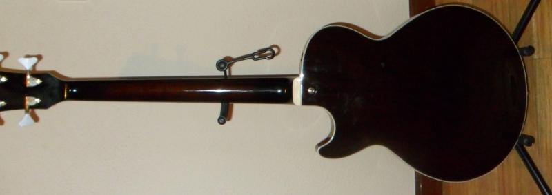 Vendo Ibanez AGB200 .