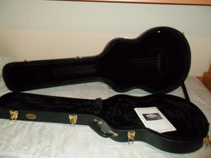 Vendo Ibanez AGB200 .