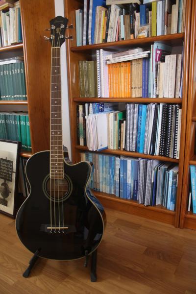 Venta bajo electroacústico Ibanez AEB8EBK