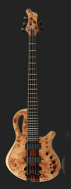 Mayones Caledonius