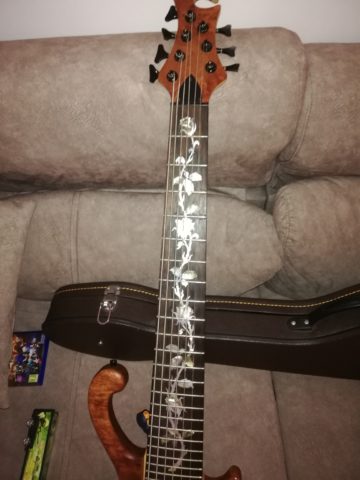 Bajo luthier antoniotsai 7 cuerdas