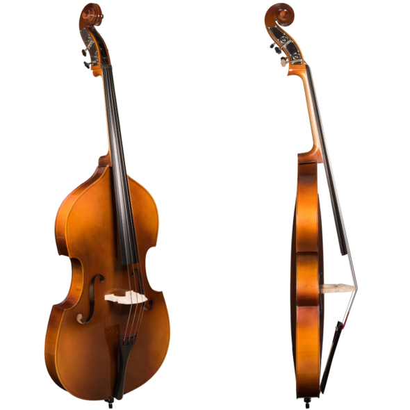 Contrabajo Slim Bass | Bajos y Bajistas